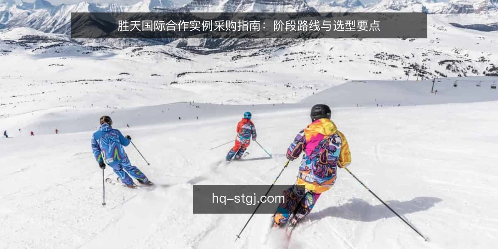 胜天国际合作实例采购指南：阶段路线与选型要点 — 明确采购需求与评估范围 配图