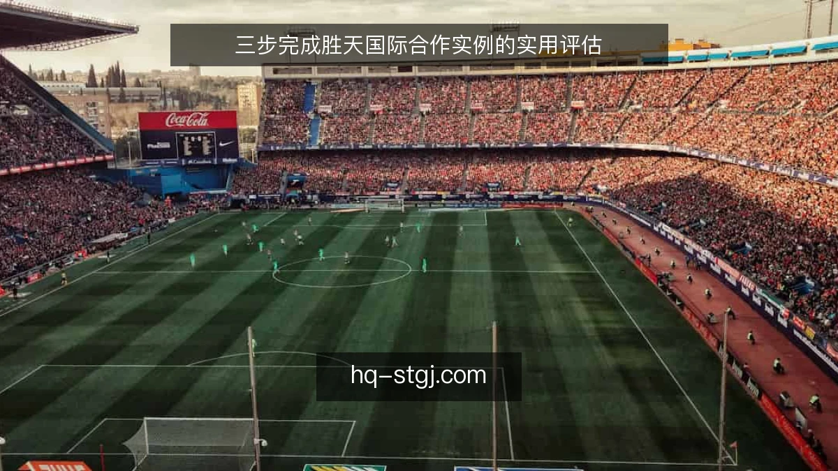 三步完成胜天国际合作实例的实用评估