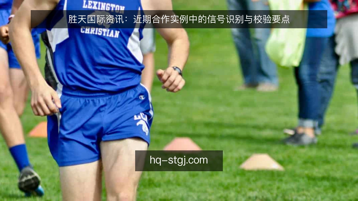 胜天国际资讯：近期合作实例中的信号识别与校验要点