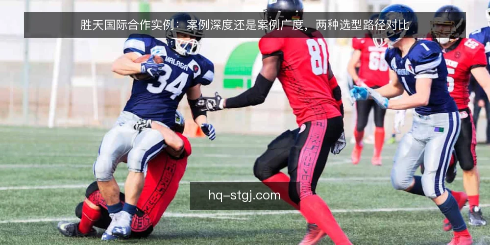 胜天国际合作实例：案例深度还是案例广度，两种选型路径对比 — 先定评估标准：广度与深度各自的决策权重 配图