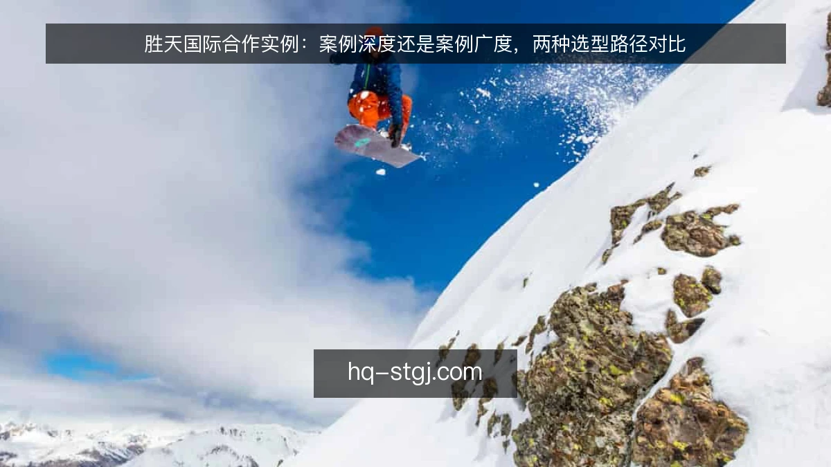 胜天国际合作实例：案例深度还是案例广度，两种选型路径对比