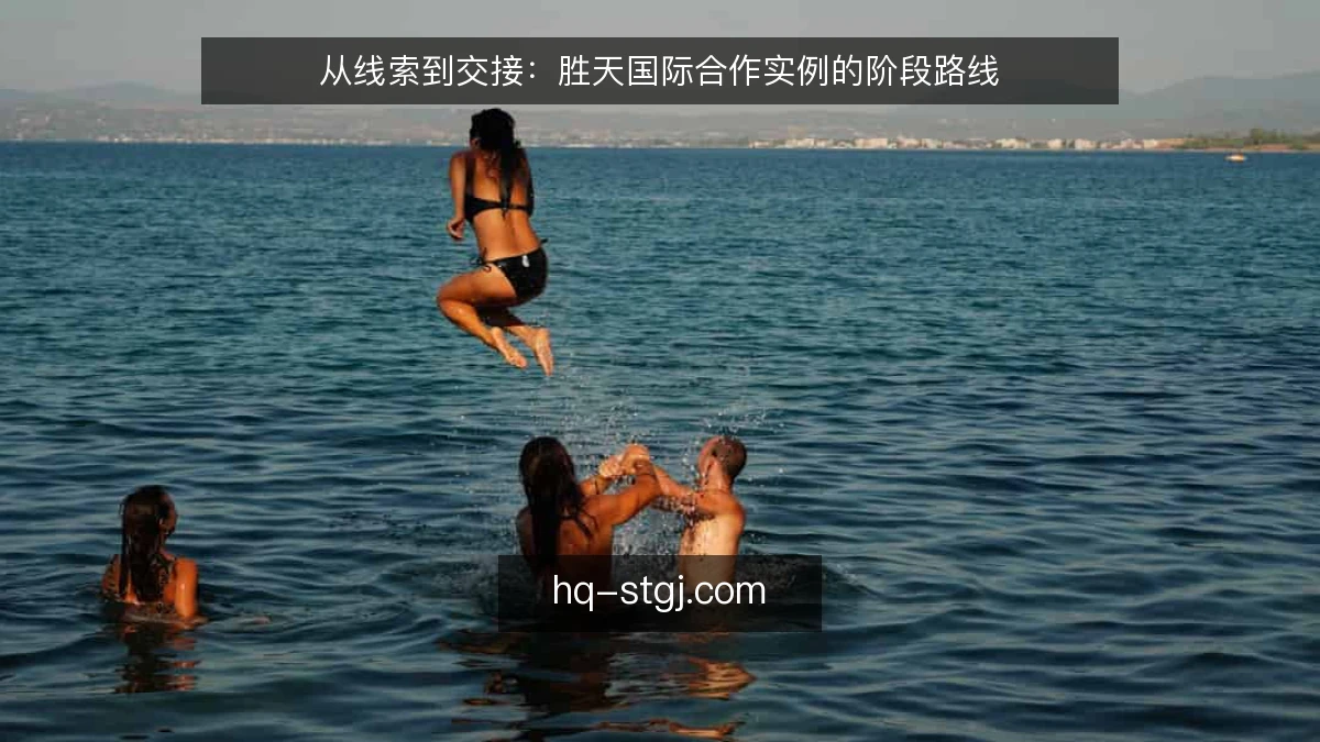 从线索到交接:胜天国际合作实例的阶段路线