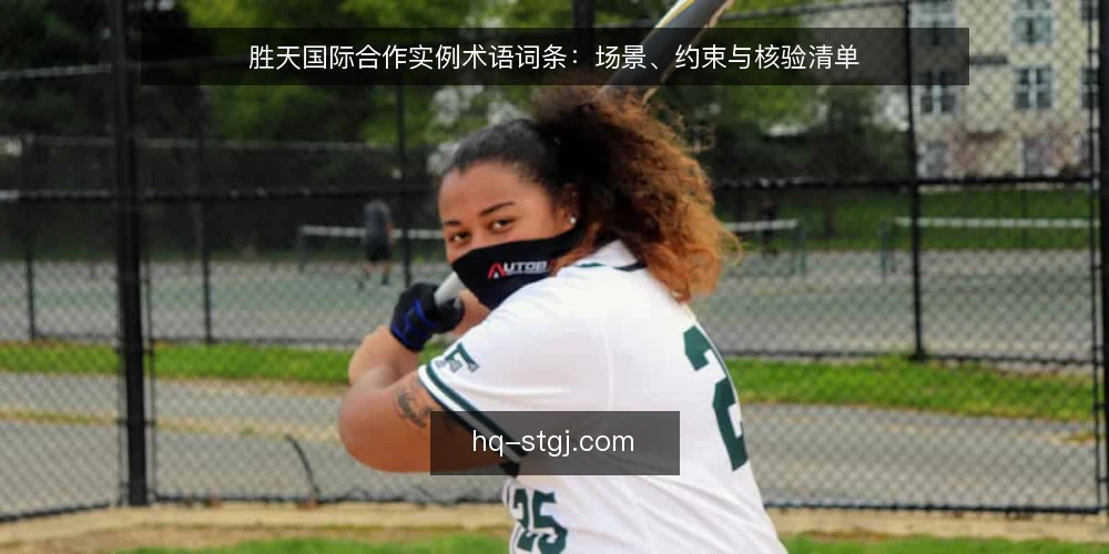 胜天国际合作实例术语词条:场景、约束与核验清单 — 为什么现在做术语审计 配图