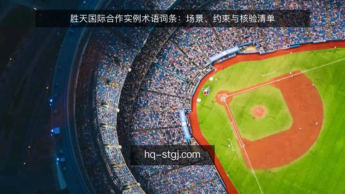 胜天国际合作实例术语词条:场景、约束与核验清单