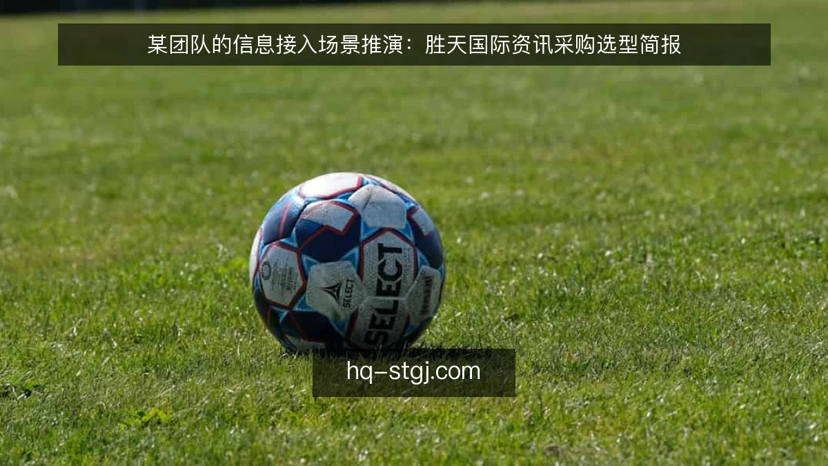 某团队的信息接入场景推演：胜天国际资讯采购选型简报