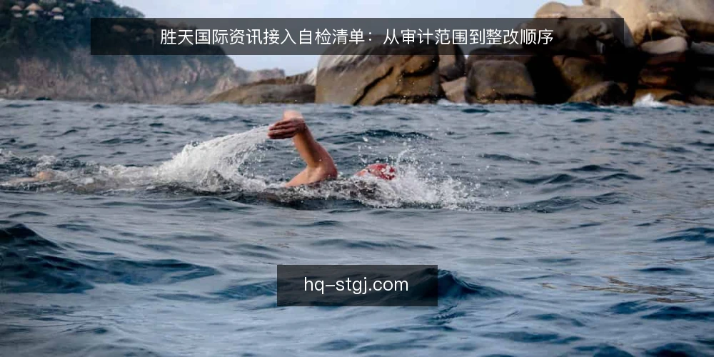 胜天国际资讯接入自检清单：从审计范围到整改顺序 — 为什么现在做一次接入审计 配图