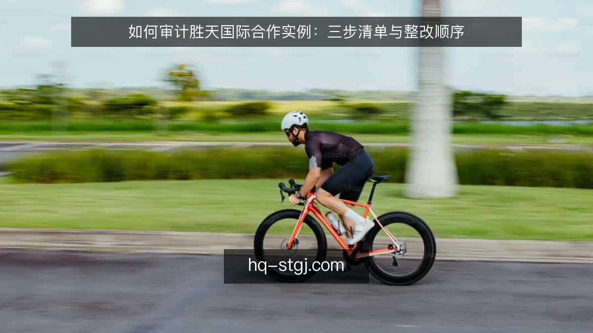 如何审计胜天国际合作实例：三步清单与整改顺序